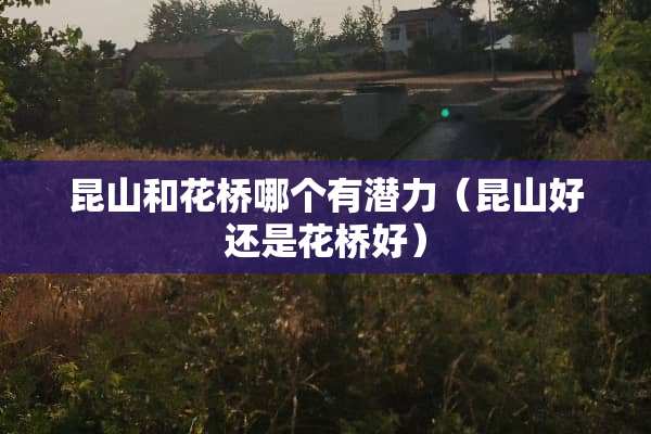 昆山和花桥哪个有潜力（昆山好还是花桥好）