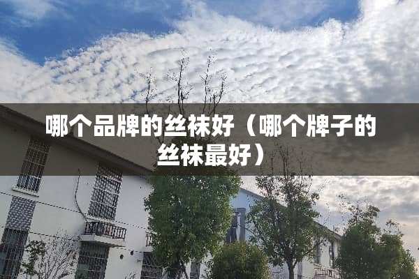 哪个品牌的**好（哪个牌子的**最好）