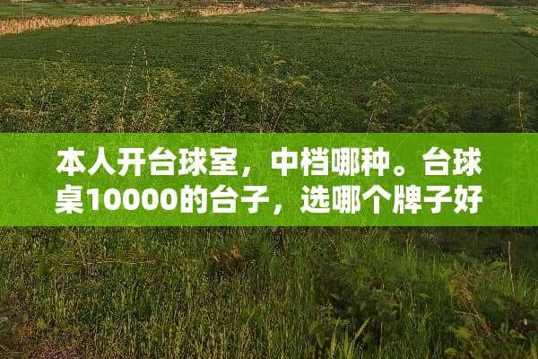 本人开台球室，中档哪种。台球桌10000的台子，选哪个牌子好？