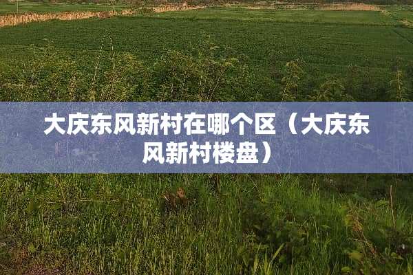大庆东风新村在哪个区（大庆东风新村楼盘）