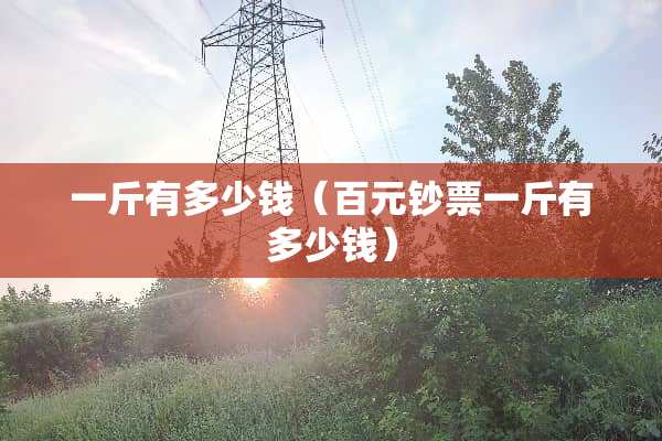一斤有多少钱（百元钞票一斤有多少钱）