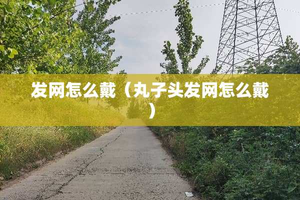 发网怎么戴（丸子头发网怎么戴）