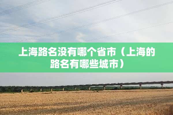 上海路名没有哪个省市（上海的路名有哪些城市）
