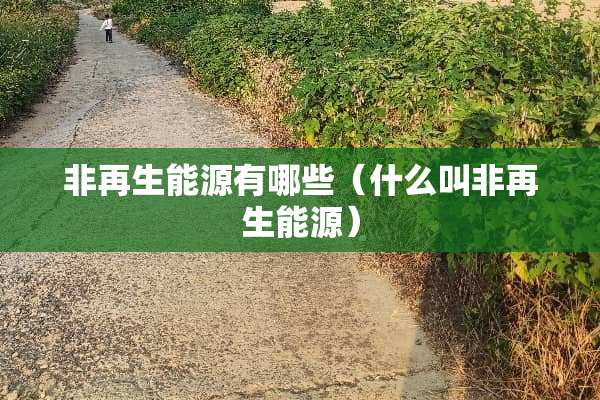 非再生能源有哪些（什么叫非再生能源）