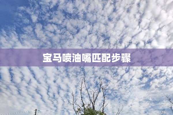 宝马喷油嘴匹配步骤