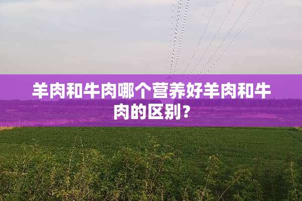 羊肉和牛肉哪个营养好羊肉和牛肉的区别？