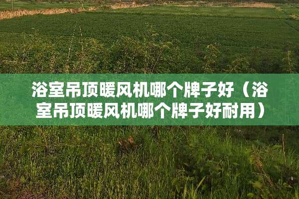 浴室吊顶暖风机哪个牌子好（浴室吊顶暖风机哪个牌子好耐用）