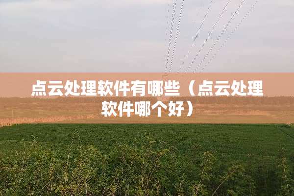 点云处理软件有哪些（点云处理软件哪个好）