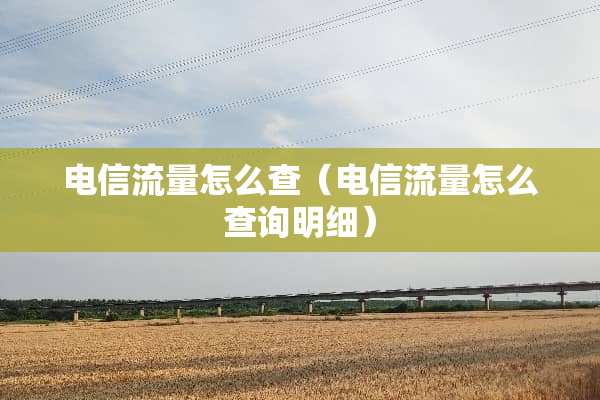 电信流量怎么查（电信流量怎么查询明细）