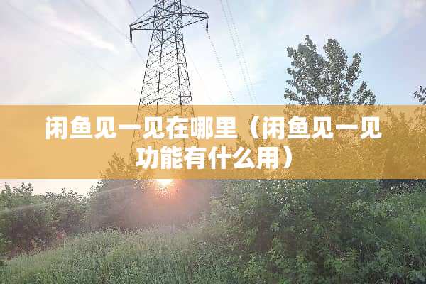 闲鱼见一见在哪里（闲鱼见一见功能有什么用）