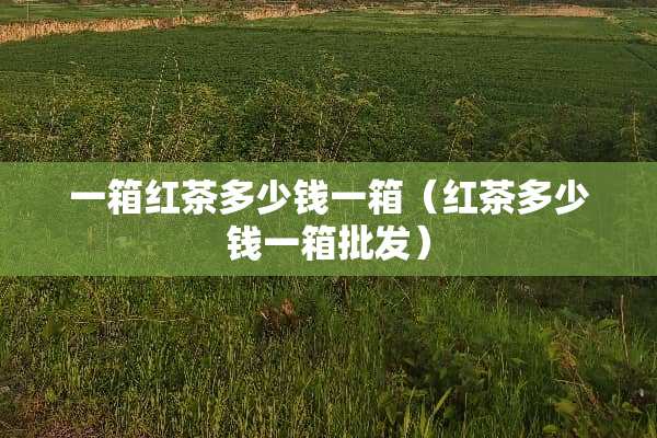 一箱红茶多少钱一箱（红茶多少钱一箱批发）