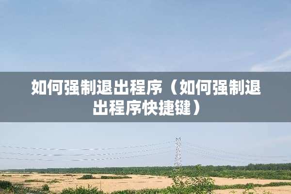 如何强制退出程序（如何强制退出程序快捷键）