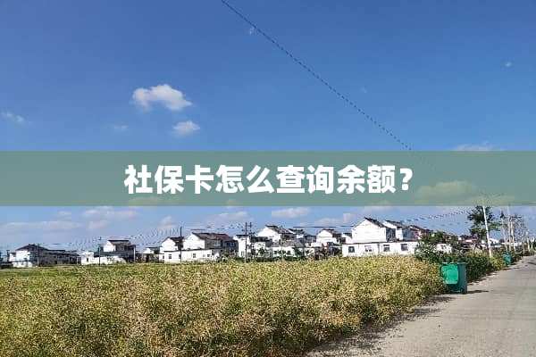 社保卡怎么查询余额？