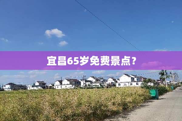 宜昌65岁免费景点？