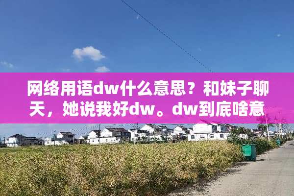 网络用语dw什么意思？和妹子聊天，她说我好dw。dw到底啥意思，网上也没找到？