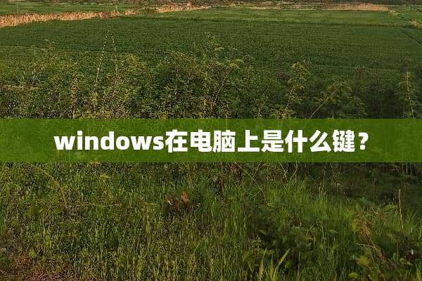 windows在电脑上是什么键？