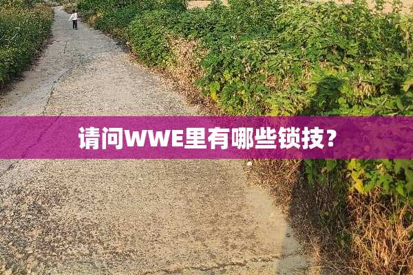 请问WWE里有哪些锁技？