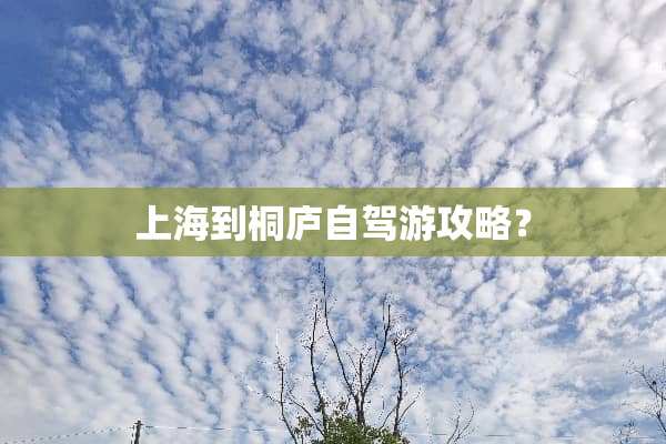 上海到桐庐自驾游攻略？