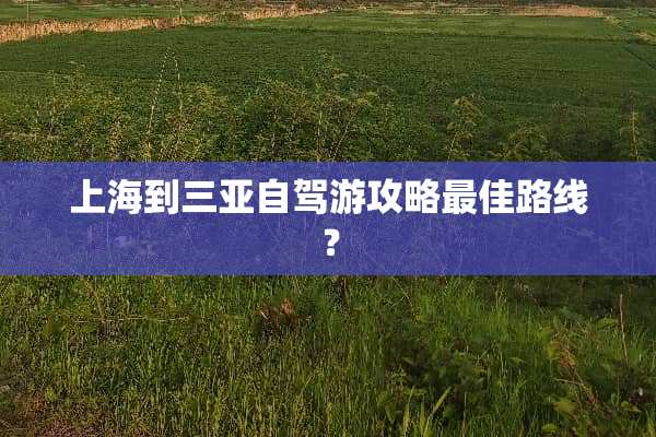上海到三亚自驾游攻略最佳路线？