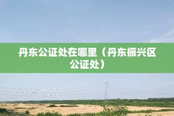 丹东公证处在哪里（丹东振兴区公证处）