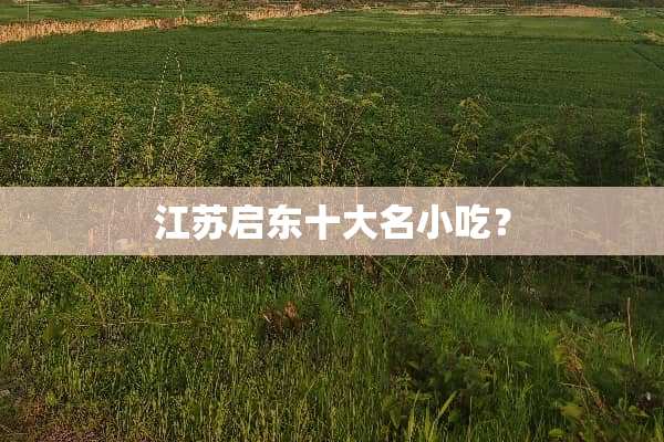 江苏启东十大名小吃？