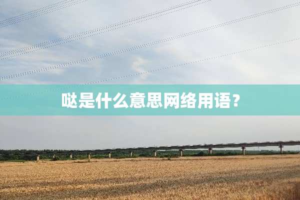 哒是什么意思网络用语？