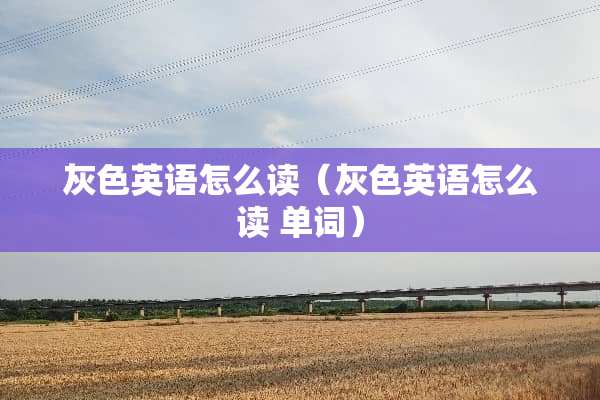 灰色英语怎么读（灰色英语怎么读 单词）