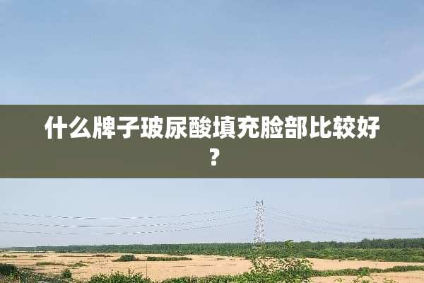 什么牌子玻尿酸填充脸部比较好？