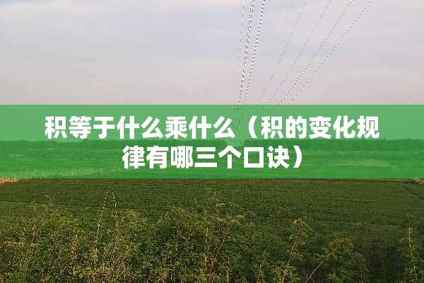积等于什么乘什么（积的变化规律有哪三个口诀）