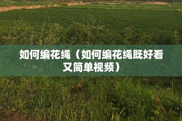 如何编花绳（如何编花绳既好看又简单视频）