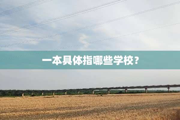 一本具体指哪些学校？