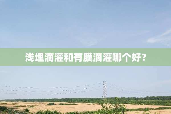 浅埋滴灌和有膜滴灌哪个好？