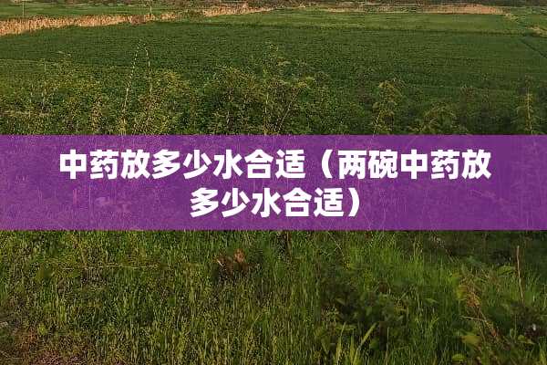 中药放多少水合适（两碗中药放多少水合适）