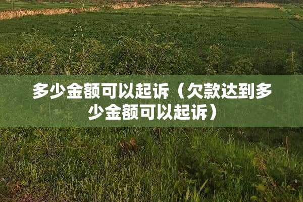 多少金额可以起诉（欠款达到多少金额可以起诉）