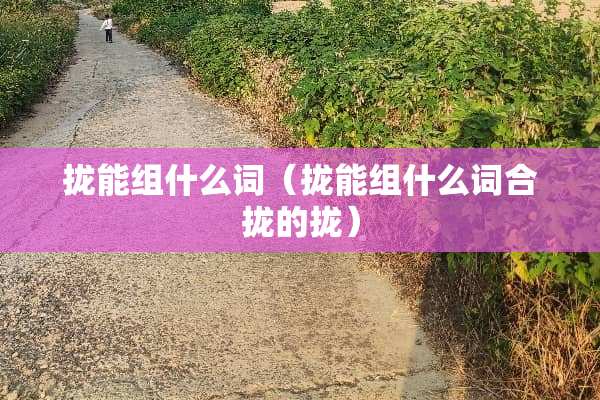 拢能组什么词（拢能组什么词合拢的拢）