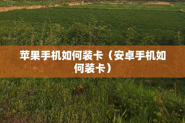 苹果手机如何装卡（安卓手机如何装卡）
