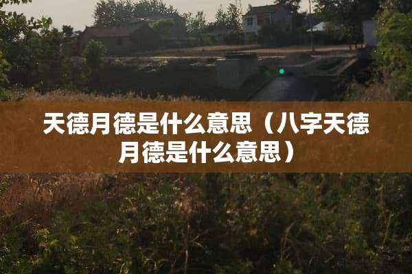 天德月德是什么意思（八字天德月德是什么意思）
