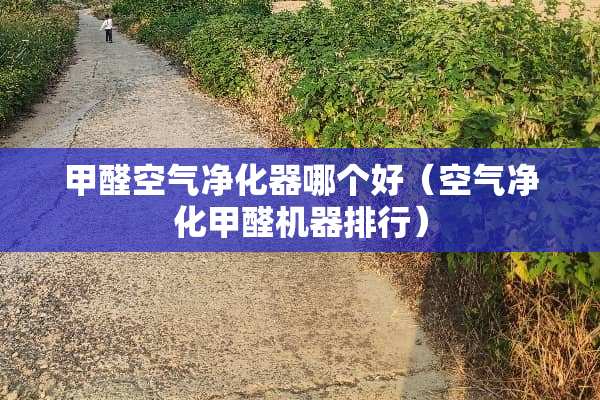 甲醛空气净化器哪个好（空气净化甲醛机器排行）