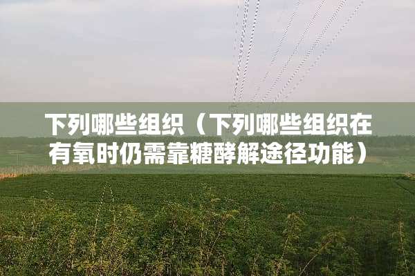 下列哪些组织（下列哪些组织在有氧时仍需靠糖酵解途径功能）