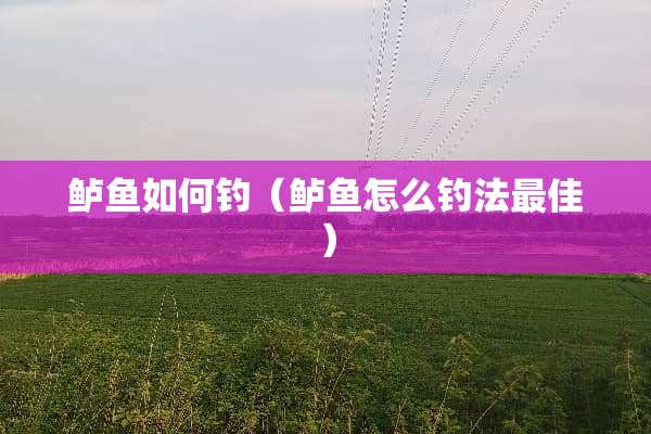 鲈鱼如何钓（鲈鱼怎么钓法最佳）