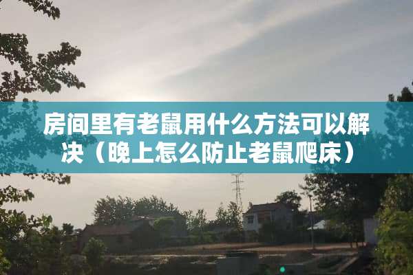 房间里有老鼠用什么方法可以解决（晚上怎么防止老鼠爬床）