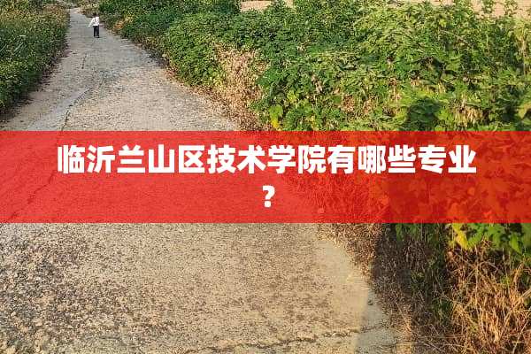 临沂兰山区技术学院有哪些专业？