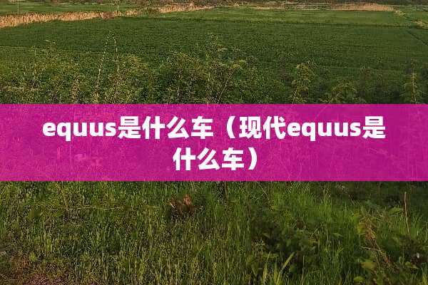 equus是什么车（现代equus是什么车）