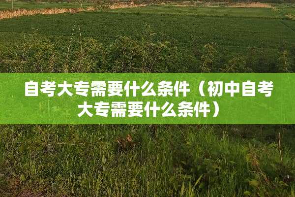 自考大专需要什么条件（初中自考大专需要什么条件）