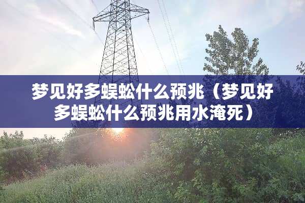 梦见好多蜈蚣什么预兆（梦见好多蜈蚣什么预兆用水淹死）