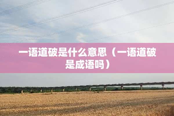 一语道破是什么意思（一语道破是成语吗）