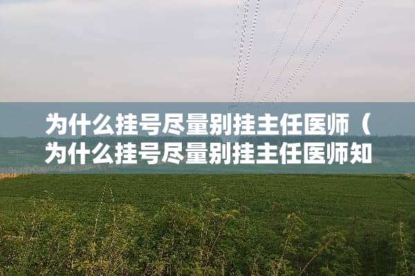为什么挂号尽量别挂主任医师（为什么挂号尽量别挂主任医师知乎）