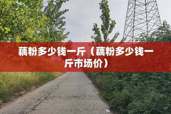 藕粉多少钱一斤（藕粉多少钱一斤市场价）