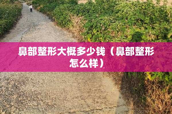 鼻部整形大概多少钱（鼻部整形怎么样）