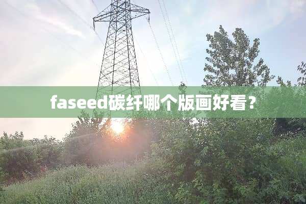 faseed碳纤哪个版画好看？